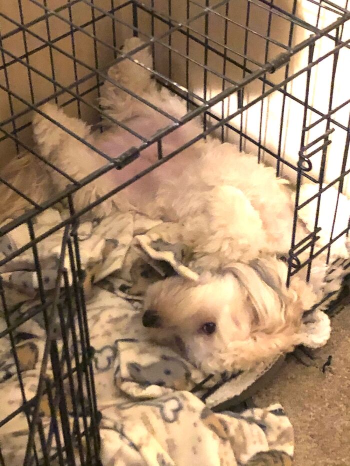 Charlie Puts Himself To Bed. Probably Best He Hasn’t Learned To Shut The Door