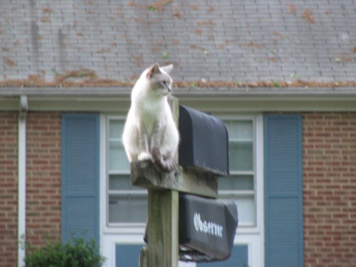 Wendy’s Just Waiting For The Mail To Come