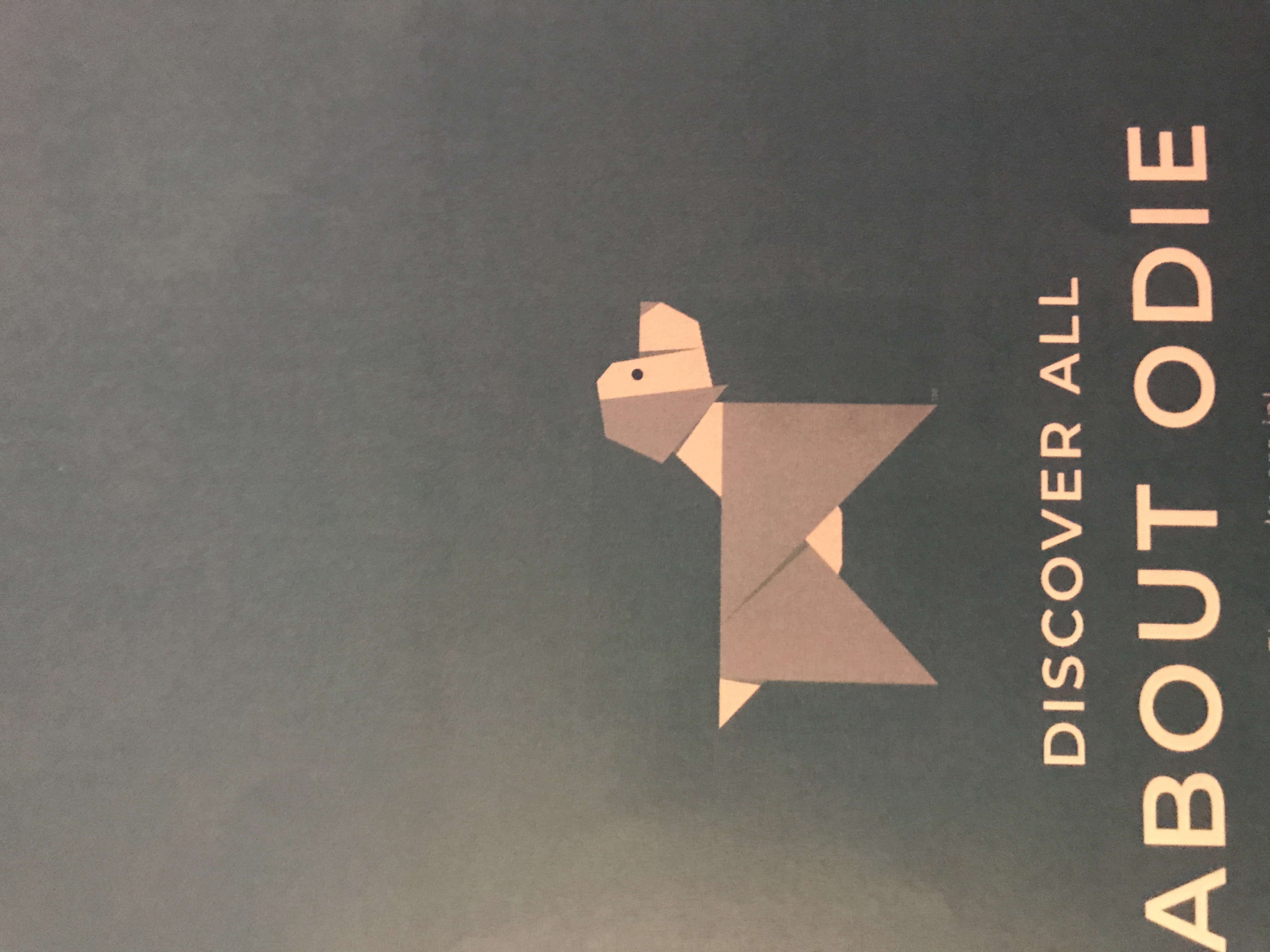 Odies Breed Test Came Back