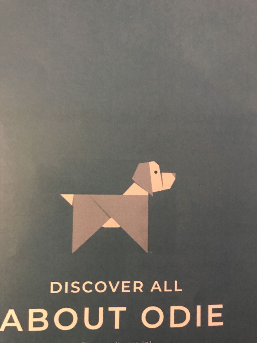 Odies Breed Test Came Back