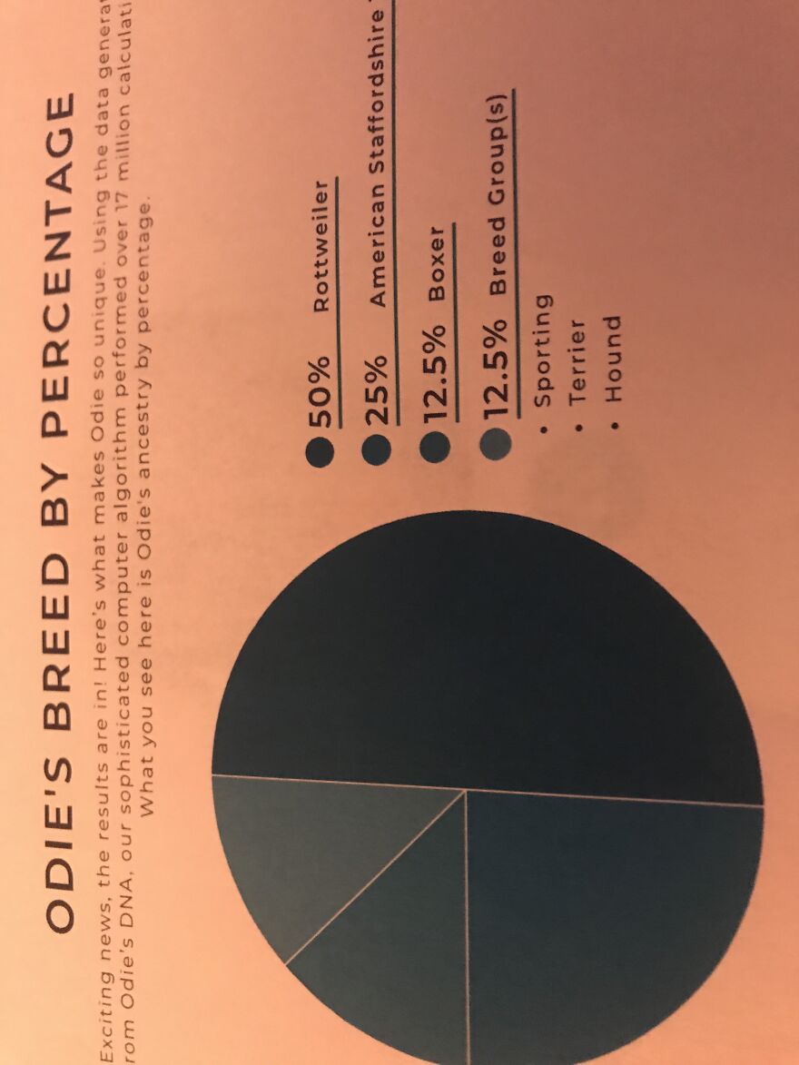 Odies Breed Test Came Back