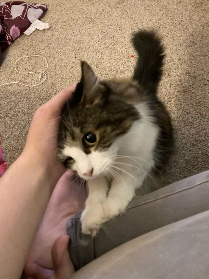 This Is My Baby Girl, Riley