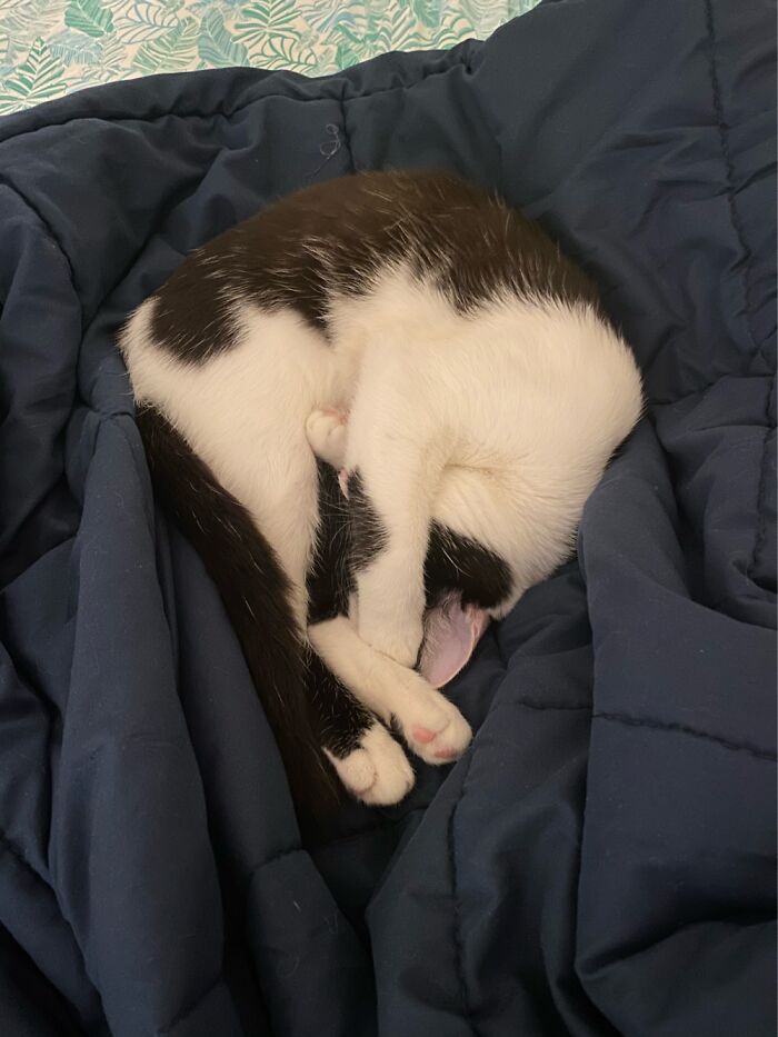 My Baby Ow The Light Is Too Much For Her Sleepy Self