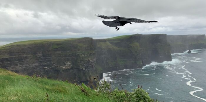 Cliffs Of Moher