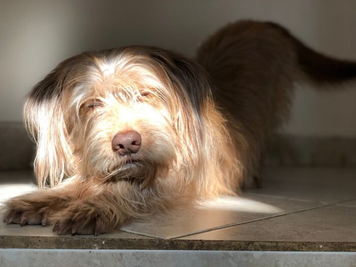 Koda Being Sexy Posing For A Pic