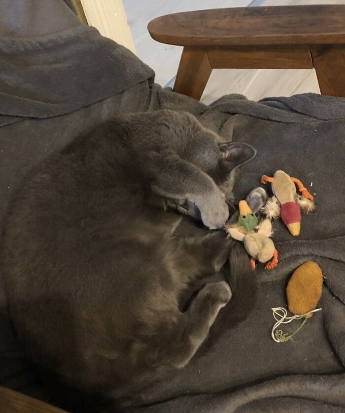 Exhausted After Playing