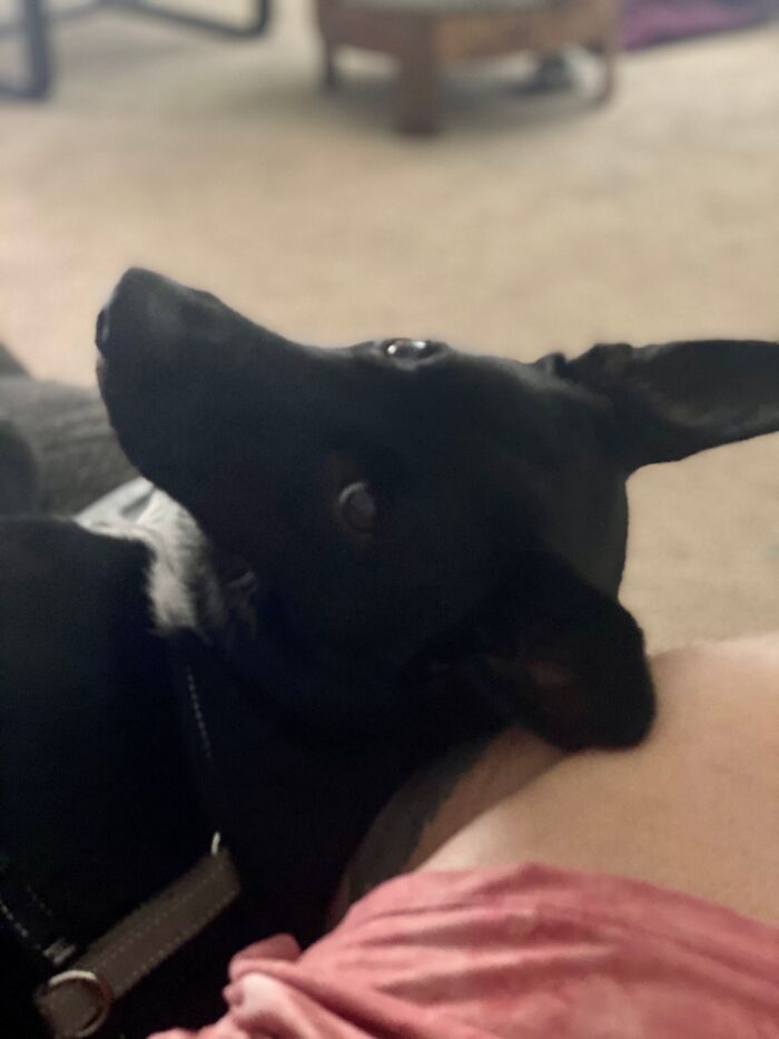 I Slightly Tried To Adjust While He Was Sleeping And Got This Snap Back Stare