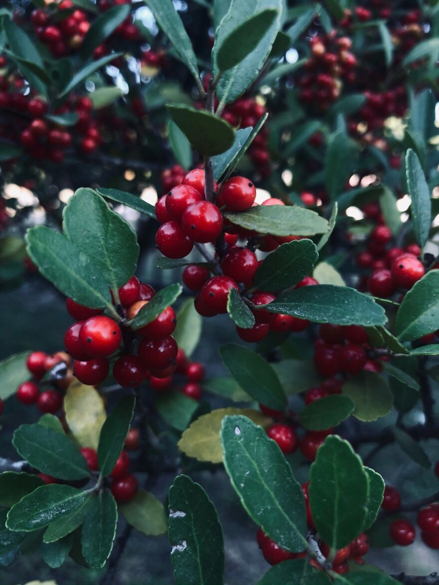 I Have A Few Good Photos