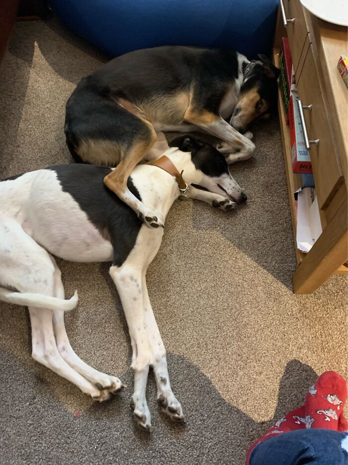 Just A Jokey On His Horse 🐎