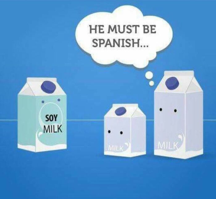 Soy Milk