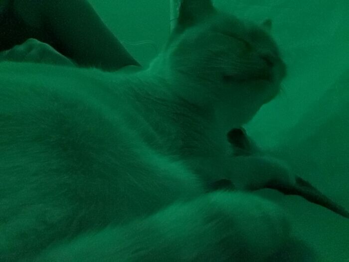 She Kinda Moved , Sorry If It’s Blurry