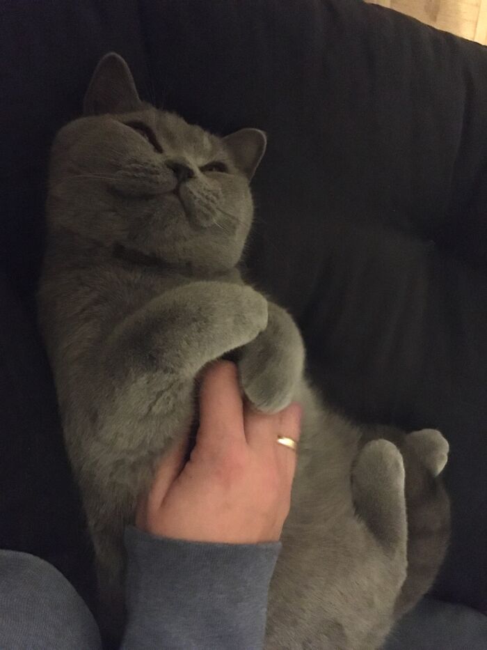 Little Mia Thinking About How To Kill Us In Our Sleep