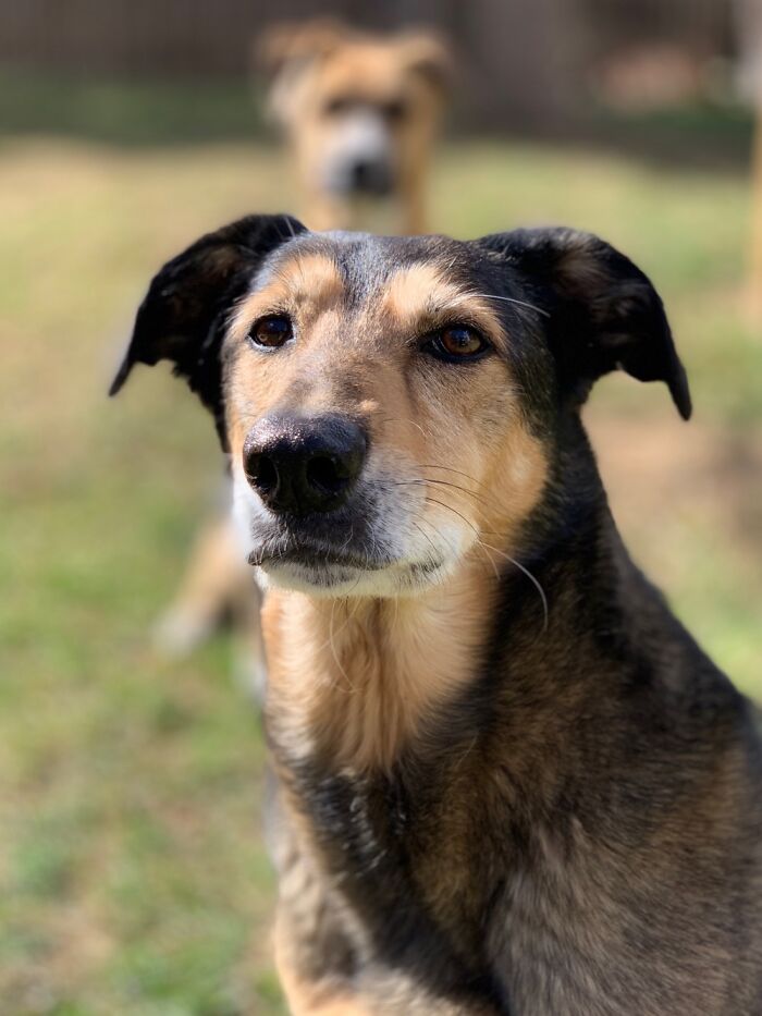 My Good Little Old Man, 11 Yrs