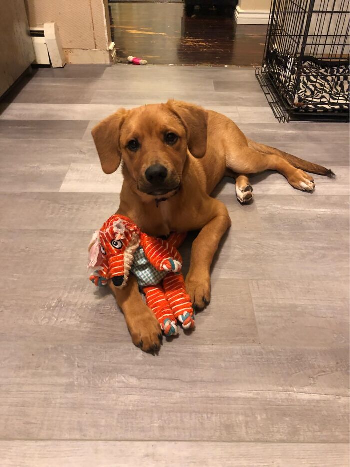 My First Girl, Sage (5 Months) With Her Very First Stuffie