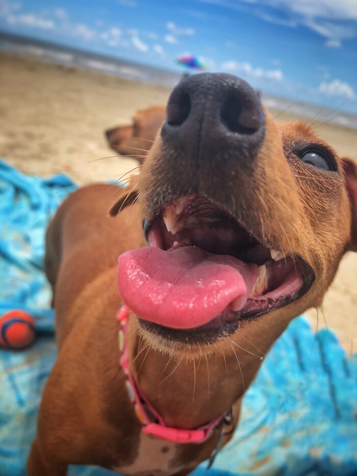 Nothing Like The Beach!!!