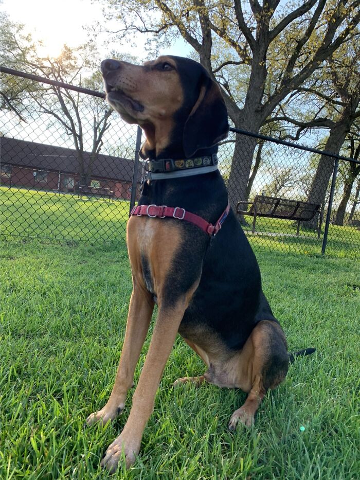 The Regal Bootsy Collins