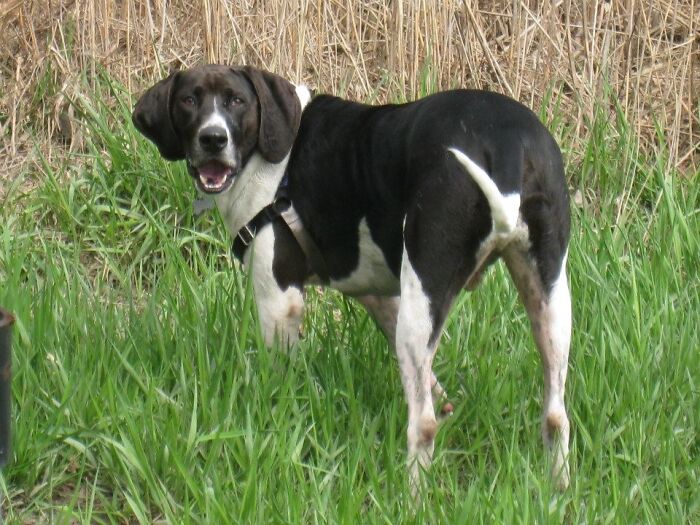 Hankford T. Tank Twc Rip 😢