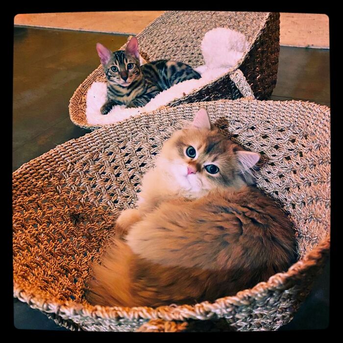 Gummi & Tum-Tum Chillin