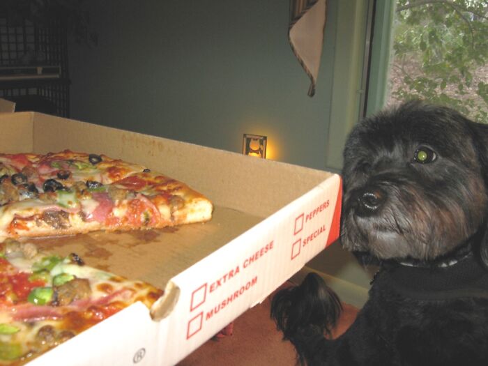 Zach Tries Telekinesis To Get To The Pizza