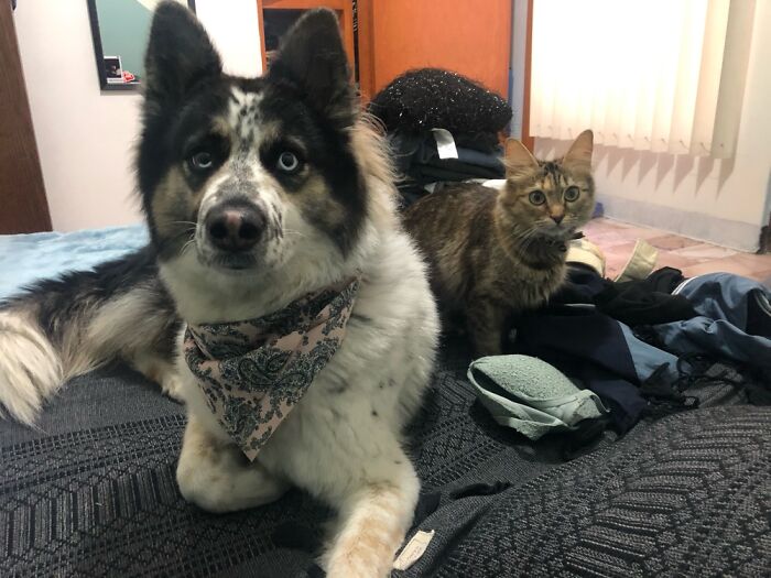 They Were Just Sitting Over The Clean Underware 🤦🏻‍♂️