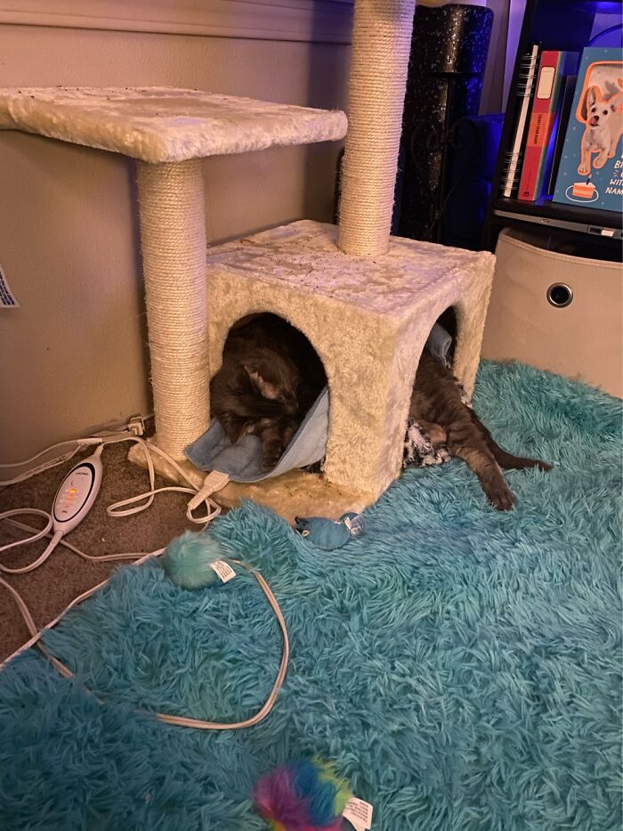 When It Gets To Warm, Just Stick Your Leg Out.