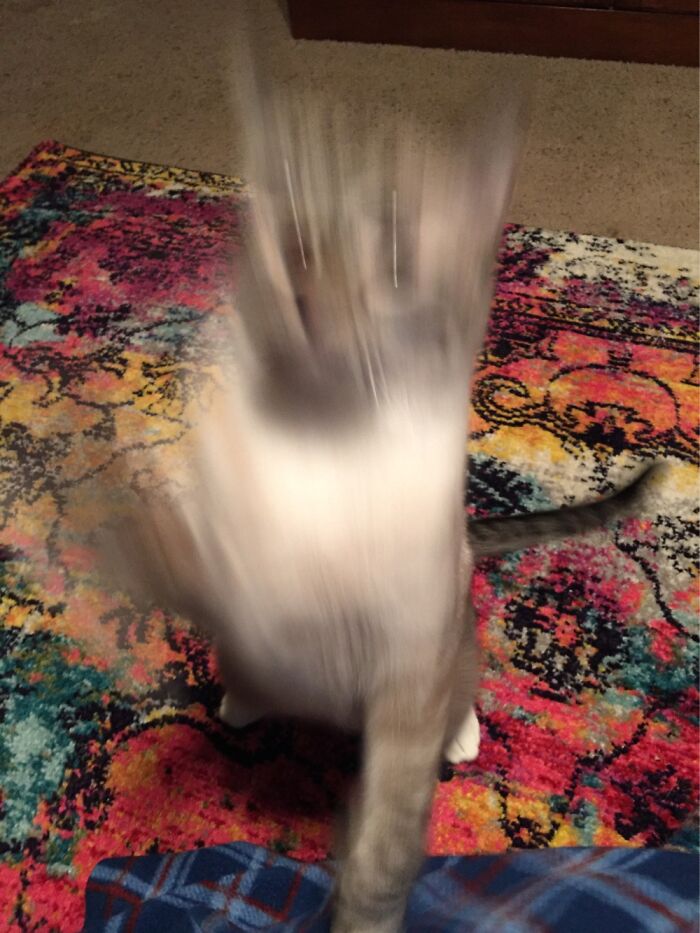 This Is The Moment I Knew I Had Messed Up...