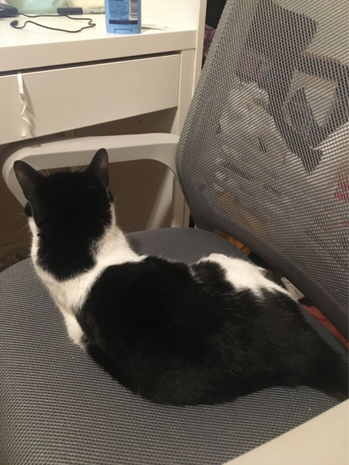 Have To Go To School From My Bed