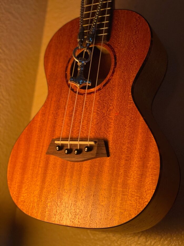 Rose Rests Under The Warm Light Of A Salt Lamp After 4 Hours Of Play