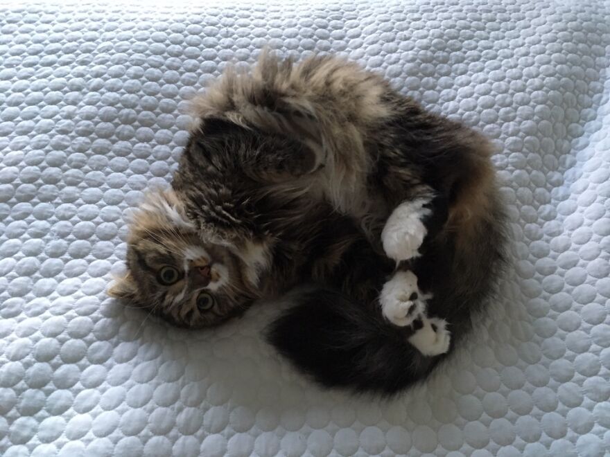 I Think She Was Rebooting.