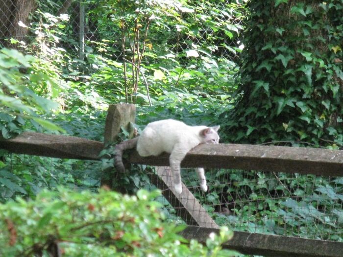Guarding 2 Territories At Once
