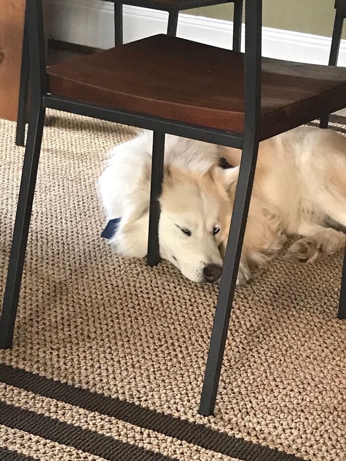 Is That Comfortable?...