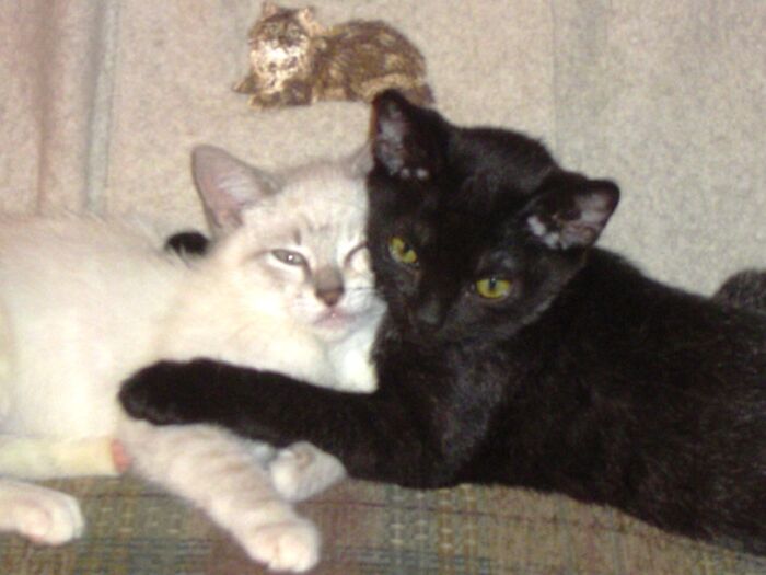 Best Friends As Soon As They Met. Rip Wendy And Ziva