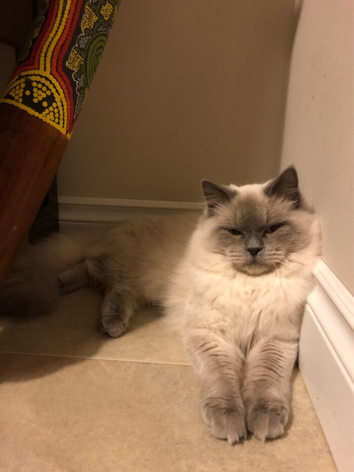 He Looks Judgmental. And He Is.