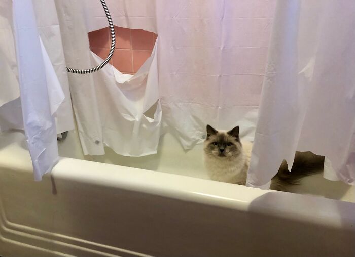 Hemming The Shower Curtains For Us But Luckily He’s Adorable!