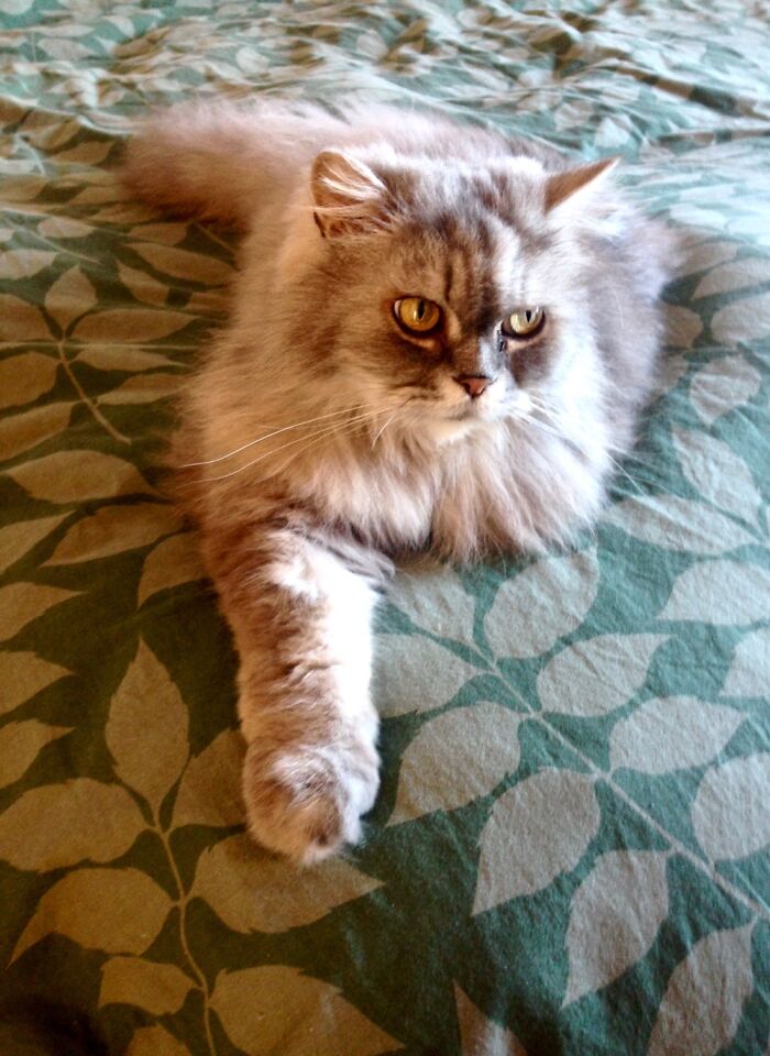 Junior, He’s Sexy And He Knows It 😂