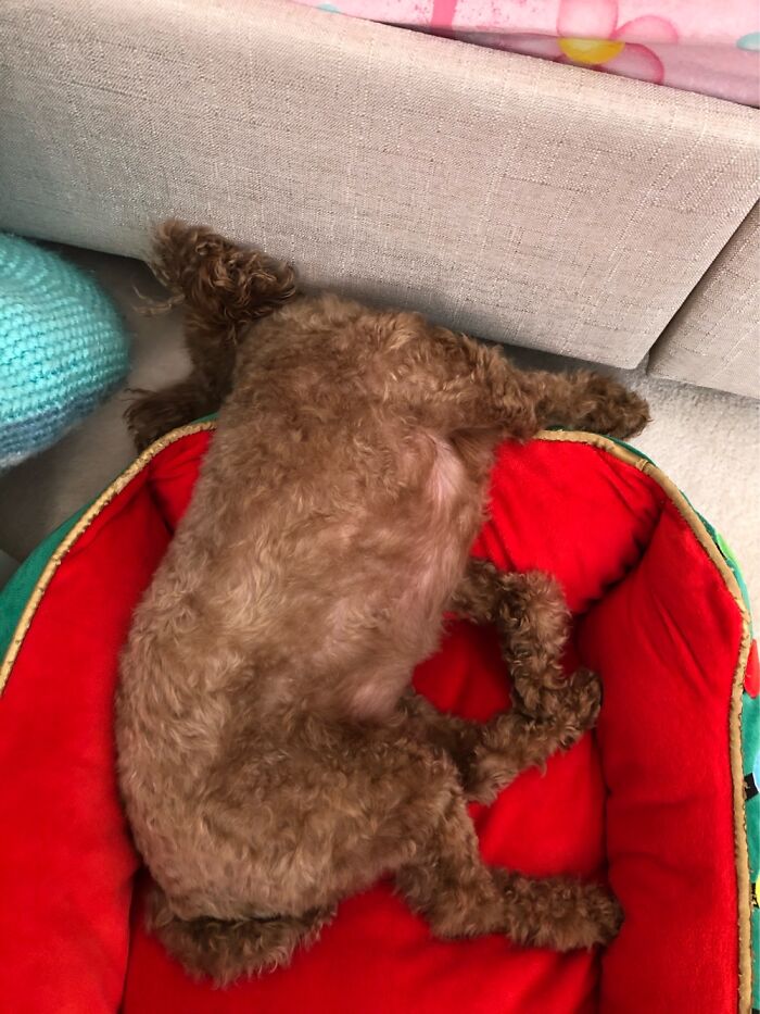 Checking Under The Bed For Da Monsters