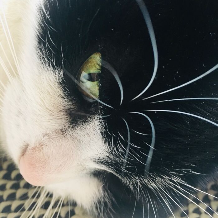 My Parents Favorite Daughter