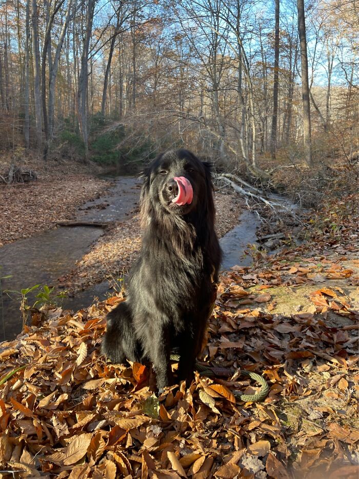 Taking Multiple Rapid Photos Often Produces Results Such As This.