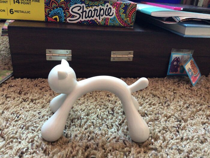 A Weird Cat Massager