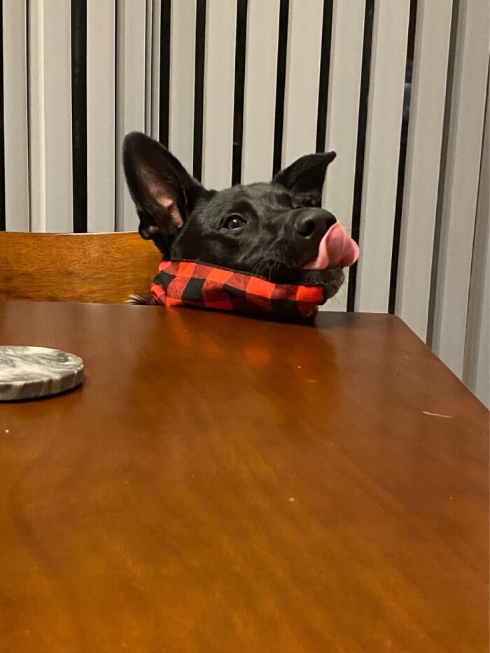 I Wonder If He Wants Dinner Too