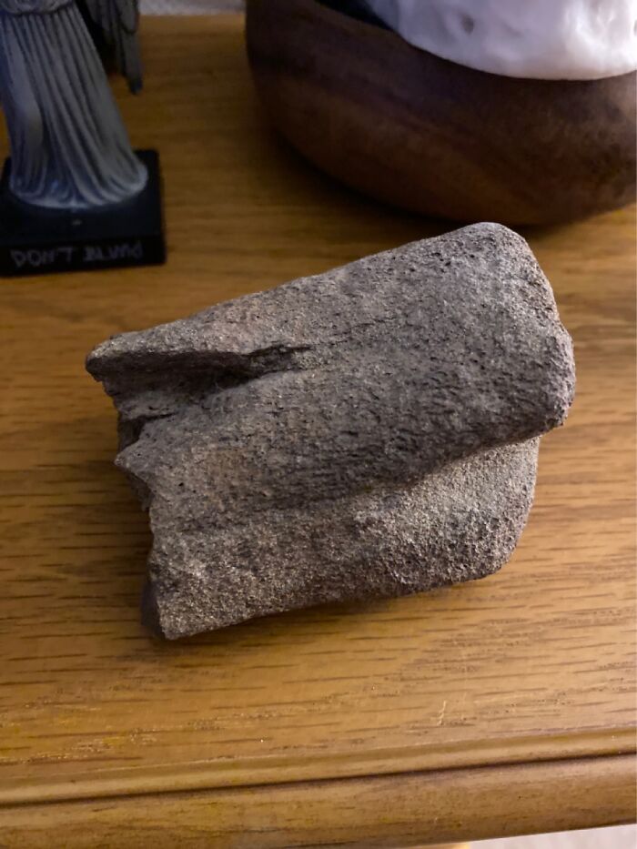 Piece Of A Leg Bone From A Dinosaur