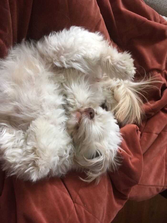 Shila’s All About Comfort