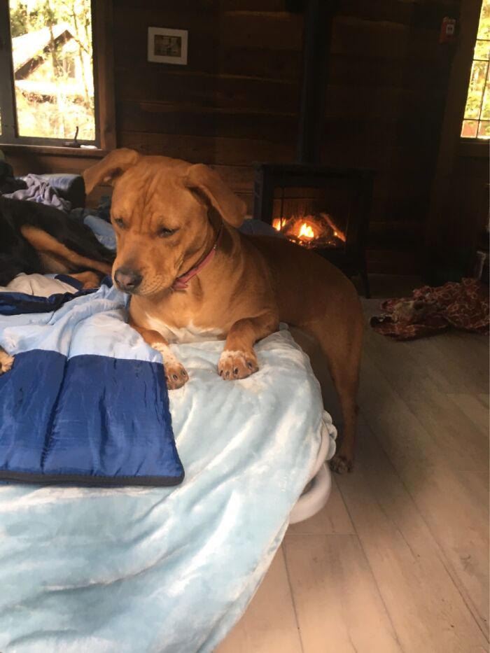 The Classic Half Sit