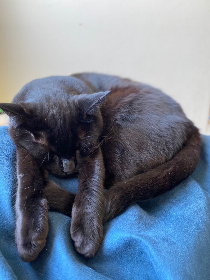 Cloud Totally Exhausted After A Long Day