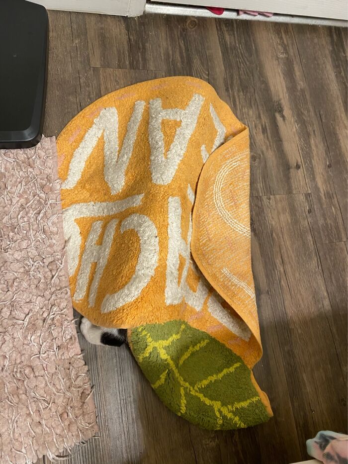 She Likes To Hide Under Mats