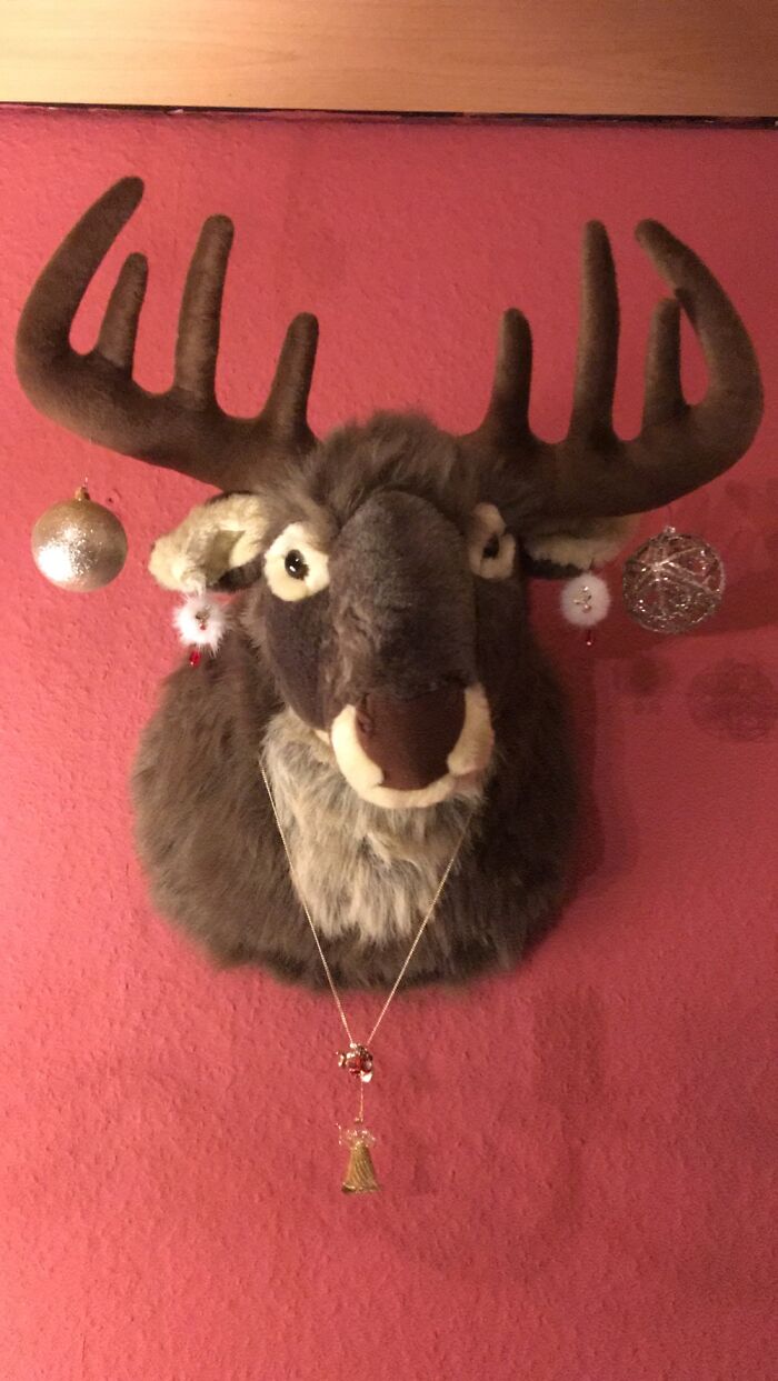 Treated As Family Member