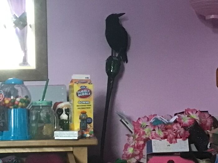 Leftovers From Halloween Emphasis On The Crow But I Guess I Have Some Other Cool Junk On My Dresser