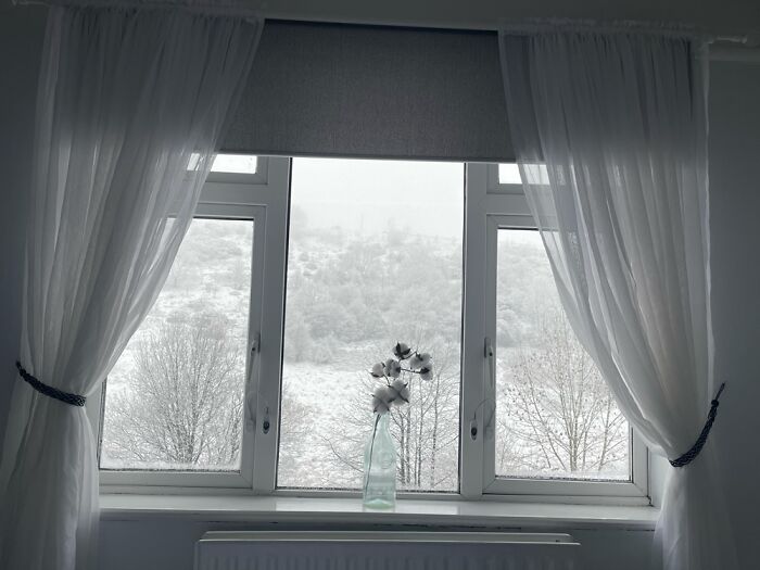 The View From My Bed