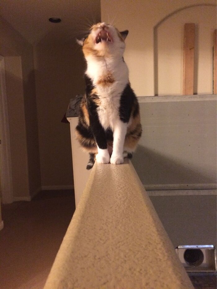 She Was Yawning When I Took