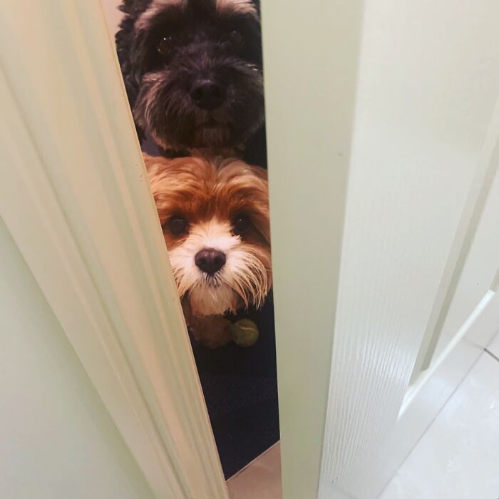 My Two Favourite Boys Not Letting Me Go Anywhere Or Do Anything Without Them!